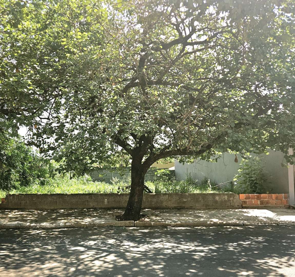 Terreno, 200 m² - Foto 1